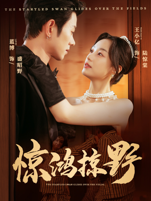 惊鸿掠野(62集) 惊鸿掠野(62集)免费观看全集