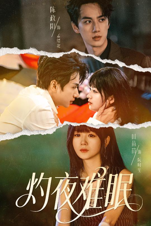 灼夜难眠(60集) 灼夜难眠(60集)百度网盘资源