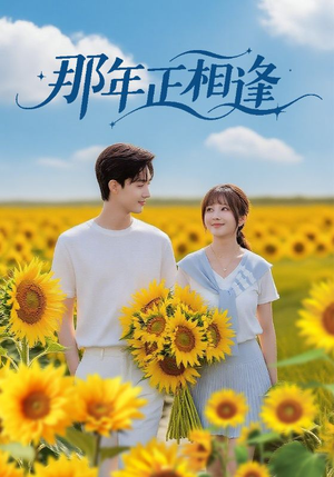 那年正相逢(60集) 那年正相逢(60集)简直不要太好看