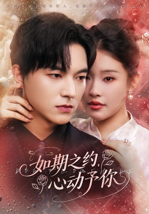 如期之约心动予你(82集) 如期之约心动予你(82集)热门短剧分享