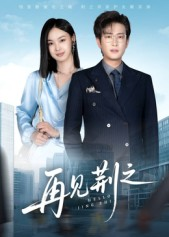 再见荆之(60集) 再见荆之(60集)短剧小说在线看