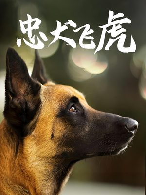 忠犬飞虎(33集) 忠犬飞虎(33集)独家资源免费看