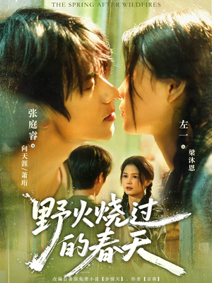 野火烧过的春天(85集) 野火烧过的春天(85集)真的太好看了