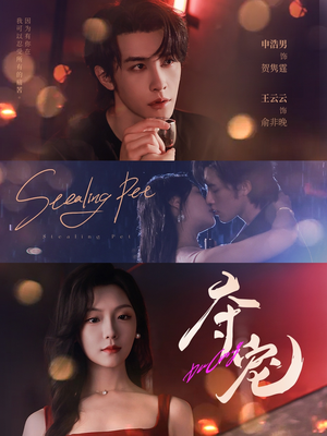 夺宠(88集) 夺宠(88集)免费看短剧全集