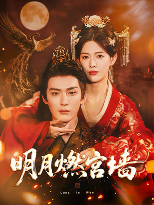 明月燃宫墙(60集) 明月燃宫墙(60集)在线免费观看