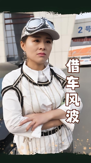 借车风波(19集) 借车风波(19集)剧情简介