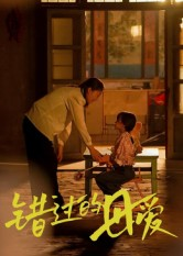 错过的母爱(32集) 错过的母爱(32集)无需会员轻松看