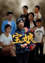 宝娘(23集) 宝娘(23集)口碑之选免费看