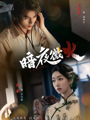 暗夜微火(80集 暗夜微火(80集演的怎么样