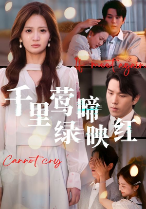 千里莺啼绿映红(63集) 千里莺啼绿映红(63集)每天短剧分享