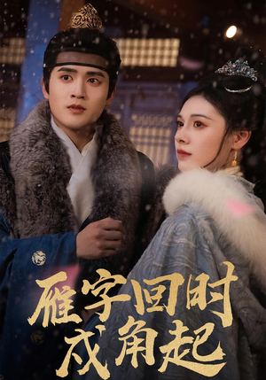 雁字回时戍角起(49集) 雁字回时戍角起(49集)第二季