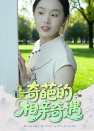 奇葩的相亲奇遇(17集) 奇葩的相亲奇遇(17集)在哪里看