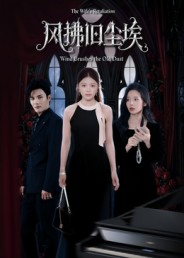 风拂旧尘埃(70集) 风拂旧尘埃(70集)热播短剧排行榜