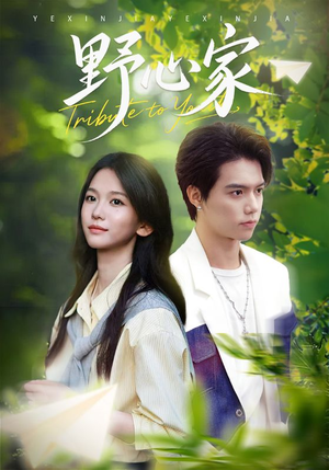 野心家（65集）观看软件