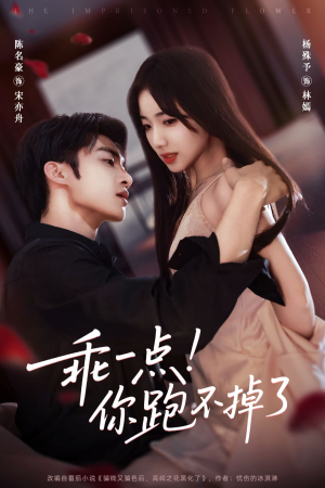 乖一点!你跑不掉了(80集) 乖一点!你跑不掉了(80集)精彩短剧上线