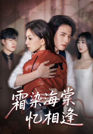 霜染海棠忆相逢（72集）全剧免费观看