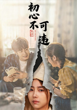 初心不可违（62集）超好看短剧推荐