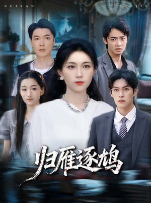 归雁逐鸠(60集) 归雁逐鸠(60集)全集完整版