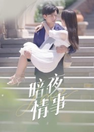 暗夜情事(100集) 暗夜情事(100集)超好看古装短剧
