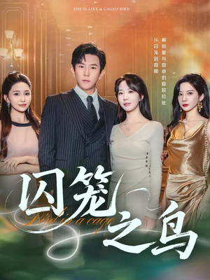 囚笼之鸟(52集) 囚笼之鸟(52集)短剧在线观看