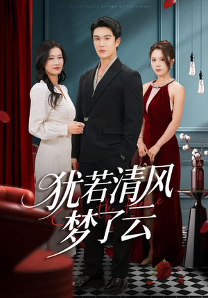 犹若清风梦了云(66集) 犹若清风梦了云(66集)怎么看全集