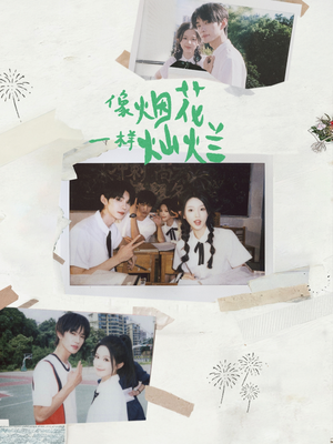 像烟花一样灿烂(60集) 像烟花一样灿烂(60集)去哪里看