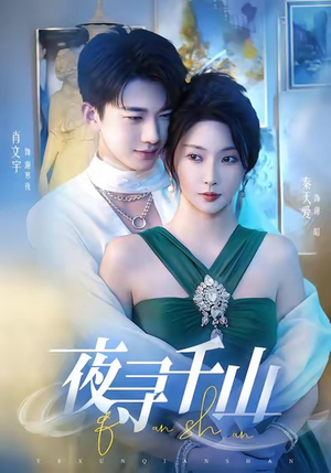 夜寻千山(60集) 夜寻千山(60集)全剧看到大结局