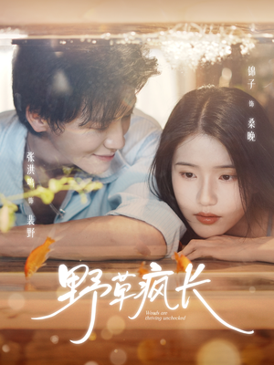 野草疯长(71集) 野草疯长(71集)海量资源免费看