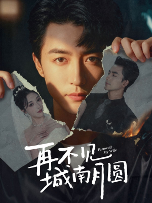 再不见城南月圆(60集) 再不见城南月圆(60集)无需会员免费看