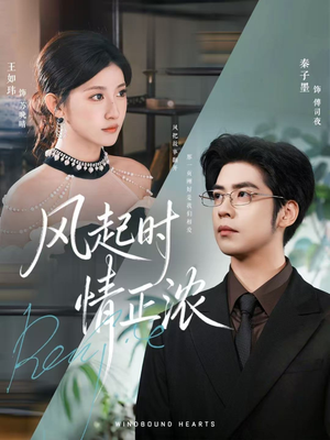 风起时情正浓(79集) 风起时情正浓(79集)热门短剧大全