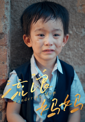 流浪妈妈(30集) 流浪妈妈(30集)短剧抢先看全集