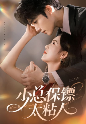 少总保镖太粘人（73集）精彩短剧下载