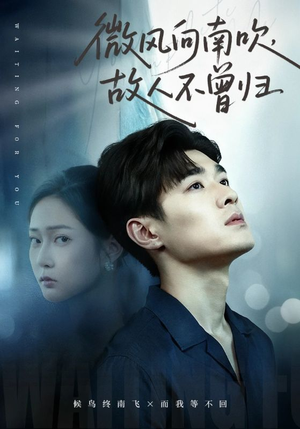 微风向南吹，故人不曾归（72集）精彩不断免费看