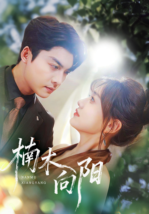 楠木向阳（70集）推荐好短剧