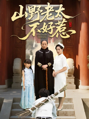 奶奶一脚震全城（64集）短剧看全集