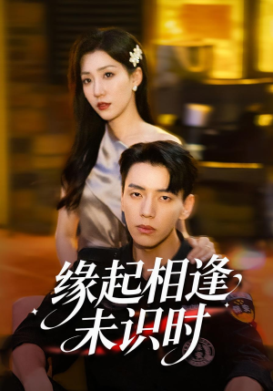 缘起相逢未识时(57集) 缘起相逢未识时(57集)剧情简介