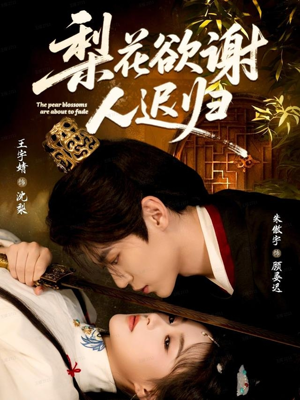 梨花欲谢人迟归(60集) 梨花欲谢人迟归(60集)经典老剧免费看