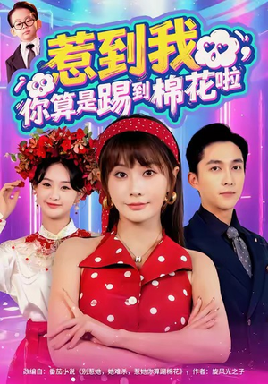 惹到我，你算是踢到棉花啦（67集）精彩短剧看全集