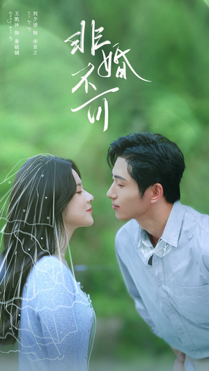 非婚不可（65集）在哪个平台能看