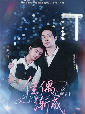 佳偶渐成(71集) 佳偶渐成(71集)热门短剧榜单