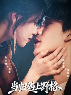 当归遇上野格(66集) 当归遇上野格(66集)在线看免费版