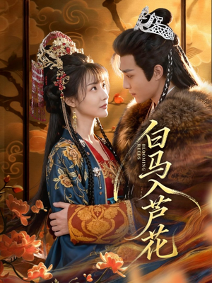 白马入芦花(59集) 白马入芦花(59集)短剧全集免费