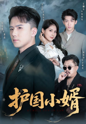 护国小婿(60集) 护国小婿(60集)追风的女孩短剧