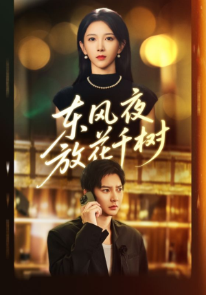 东风夜放花千树（91集）火爆短剧来袭
