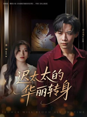 迟太太的华丽转身(80集) 迟太太的华丽转身(80集)在哪个app能看
