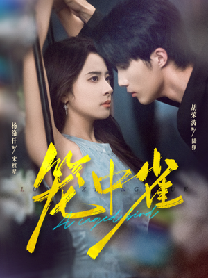 笼中雀(65集) 笼中雀(65集)热门短剧推广