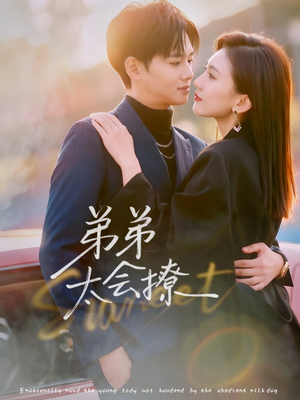 弟弟太会撩（81集）短剧精彩片段