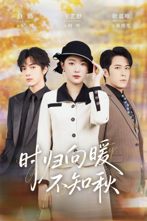 第二十八年冬（51集）剧情简介