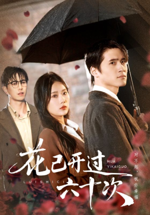 情敌交手她选择躺赢（72集）女主谁演的