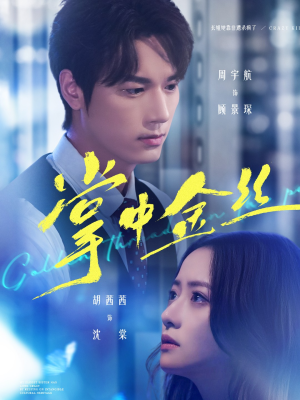 掌中金丝(60集) 掌中金丝(60集)爆火短剧追不停